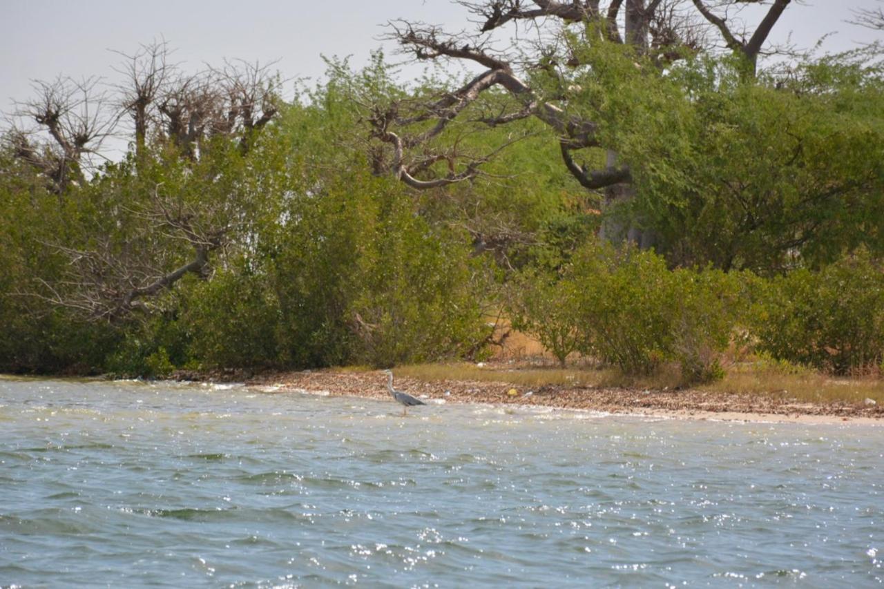 Le Pelican Du Saloum Sine-Saloum Ngoại thất bức ảnh