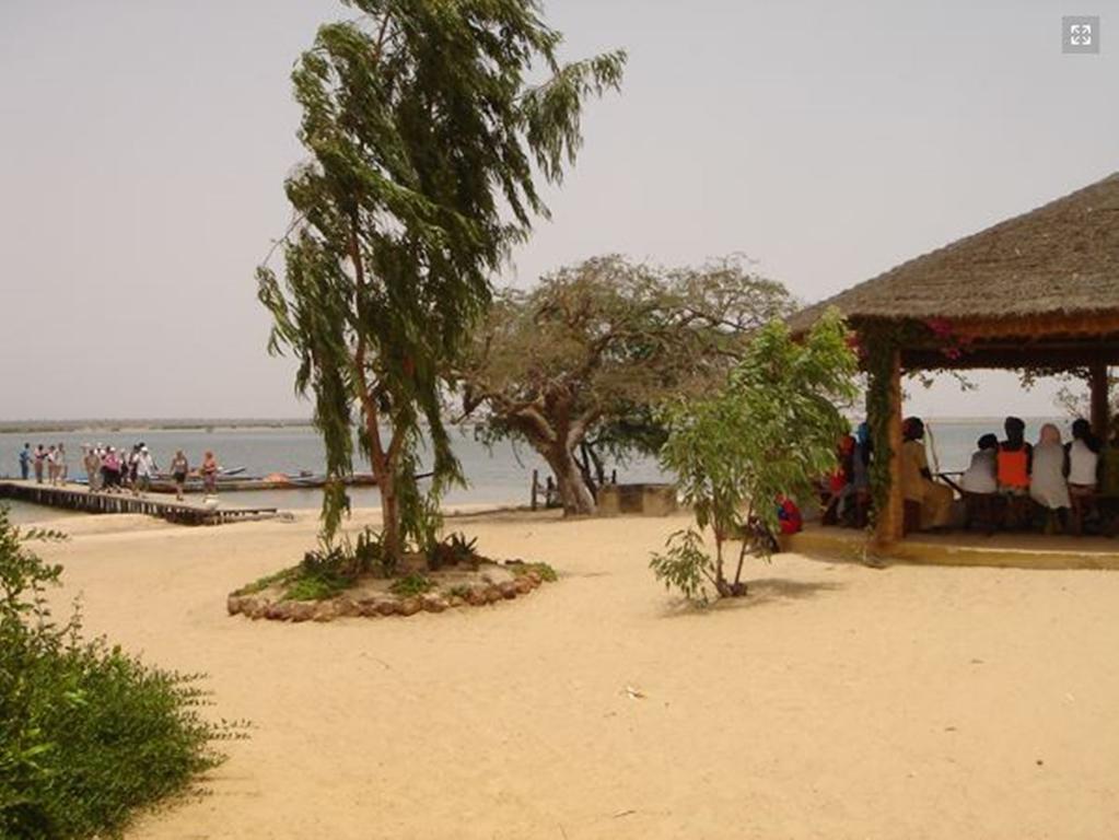Le Pelican Du Saloum Sine-Saloum Ngoại thất bức ảnh