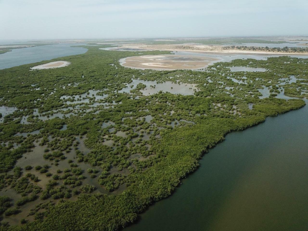 Le Pelican Du Saloum Sine-Saloum Ngoại thất bức ảnh
